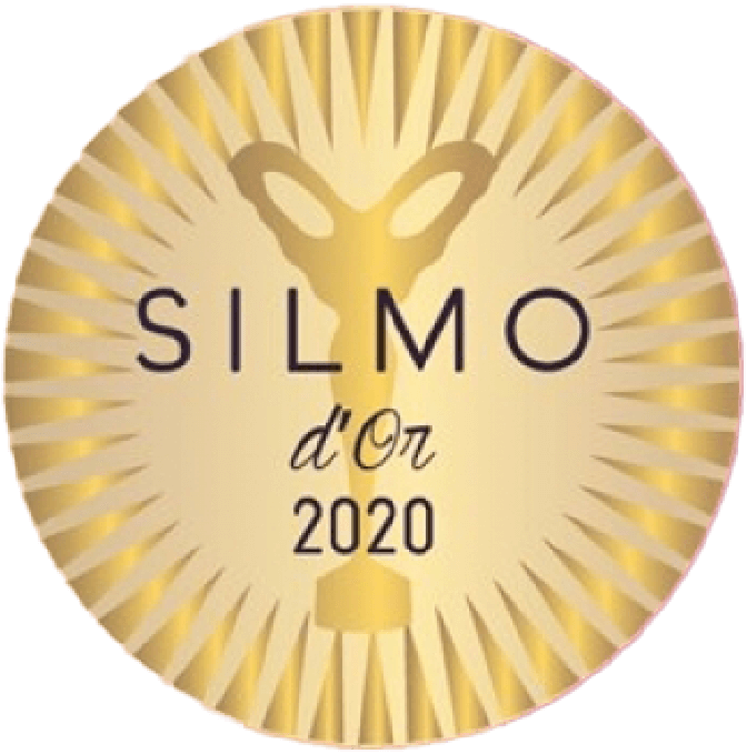 The SILMO d&rsquo;Or 2020 trophy awarded in the Vision category